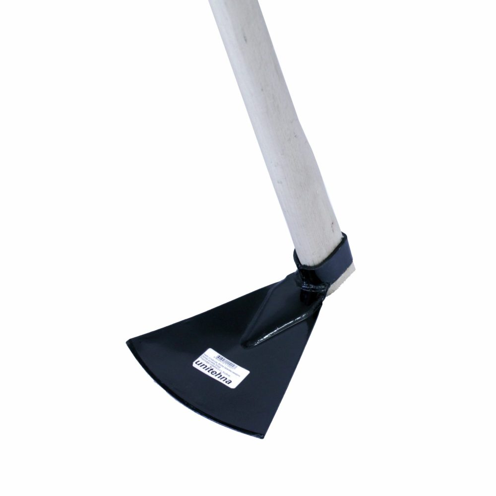 MOTIKA ČAČANSKA NASAĐENA - Slika 1